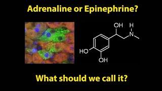 Adrenaline or Epinephrine what should we call it?