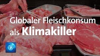 Globaler Fleischkonsum als Klimakiller