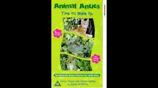 Animal Antics Time To Wake Up complete  VHS