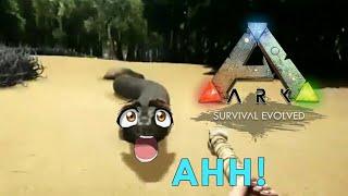 Ark Survival Evolved Funny Moments