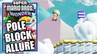 Super Mario Bros Wonder - Sunbaked Desert Special Pole Block Allure - 100% All Seeds Flowers & Flag