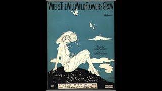 Lee Morse - Where The Wild Wild Flowers Grow 1927 Harry M. Woods Im Far Away From Everyone I Love