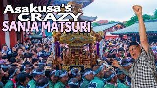 Asakusas crazy Sanja Matsuri LIVE Street View Tour Experience