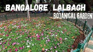 Lalbagh Botanical Garden Bangalore Tour