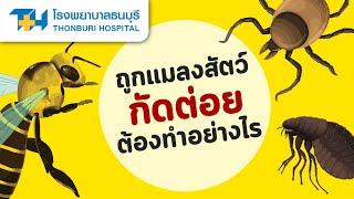 ถูกแมลงสัตว์กัดต่อยต้องทำอย่างไร  โรงพยาบาลธนบุรี