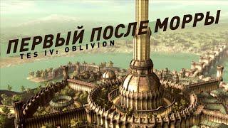 The Elder Scrolls IV Oblivion  Краткий анализ