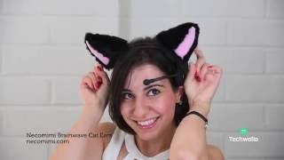 Life with Cat Ears That Read Your Brainwaves