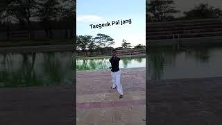#taekwondo #taegeuk #taegeuk8 #kata #martialarts #viral #tiktok