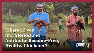 Country Chicken Co  Journey From Our Backyards To Your Doorstep  Healthy Chicken  Natu Kodi