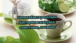 Хеликобактер пилори бактерия в желудке симптомы лечение