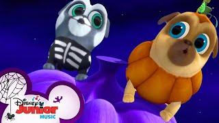 Bingo and Rollys Halloween Songs   Compilation  Puppy Dog Pals  Disney Junior