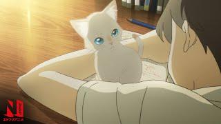 A Whisker Away  Multi-Audio Clip Cat-tacular Fantasies of Hinode  Netflix Anime