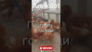 Смешной Анекдот. #Анекдот #Юмор #смех #Shorts #Приколы