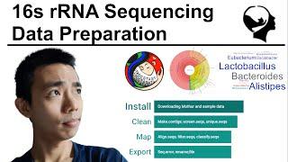 16s rRNA Sequencing Analysis  Mothur Walkthrough Part 1