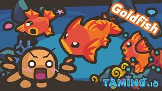 Taming.io Can Goldfish Raid Base Be As Strong As Before?