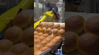 Bakery Tray Handling by FANUC and ROMIAS