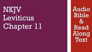 Leviticus 11 - NKJV - Audio Bible & Text