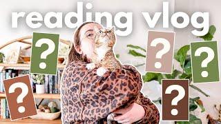 cozy reading vlog  new releases 5 stars reads + library haul 