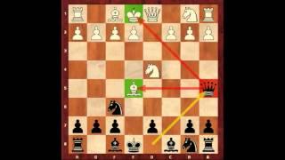 Chess for Beginners. Chess Openings #2. Opening Examples. Eugene Grinis. Chess