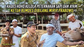 KADES HOHO KELOLA PETERNAKAN SAPI DAN AYAM  KETUA BUMDES DIBILANG MIRIP PRABOWO