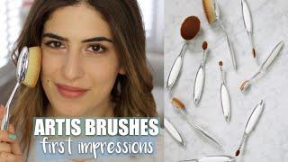 Artis Brushes First Impressions  Lily Pebbles