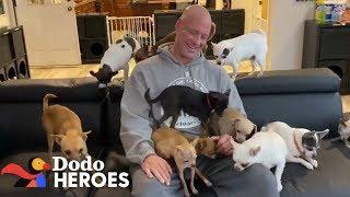 This Guys Addicted to Rescuing Chihuahuas  Dodo Heroes