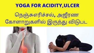 Yoga For Acidity Ulcer Acid reflex in Tamil நெஞ்சு எரிச்சலை போக்கும் யோகா By Dr.Lakshmi Andiappan