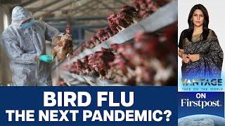 Bird Flu Outbreak 100 Times Worse Than Covid Pandemic says Experts  Vantage with Palki Sharma