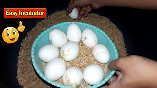 BEST INCUBATOR FOR DUCK EGGS  PLASTIC CONTAINER INCUBATOR  HATCHING DUCK EGGS  DIY-YOUCANDOTHIS