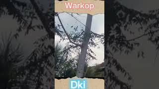 Dono dikejar dokter gil4#short#warkopdki#donokasinoindro#komedi#warkop