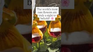 worlds most rare #flowers #trending #garden #video #reels #viralvideo #shorts #india