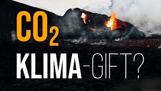 Faktencheck CO2 Klima-Gift oder Pflanzen-Booster? Interview mit Dipl. Ing. Michael Limburg