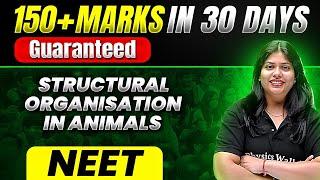 150+ Marks Guaranteed STRUCTURAL ORGANISATION IN ANIMALS  Quick Revision 1 Shot  Zoology For NEET