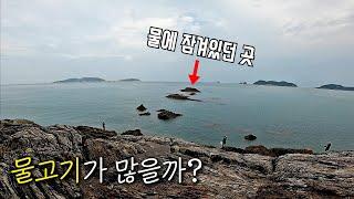 물이 잠겨있던 곳에 가면 물고기가 많을까?