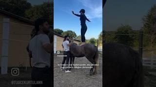 At binmeye yeni başlamışsındır ama aklından yoga eğitmeni olduğun çıkmıyordur  #shorts #horses