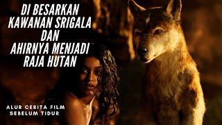 Anak Manusia Yang Di Besarkan Oleh Srigala Di Hutan  Alur Cerita Film Mowgli Legend of the jungle