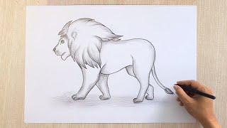 Lion Drawing 