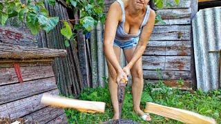 The wife is picking berries in the garden in a short dress. Gardening on a small farm