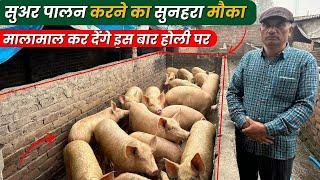 चाँदी ही चाँदी  है अब सुकर पालन में  Pig Farming in India इस तरीके से करें Pig Farming 