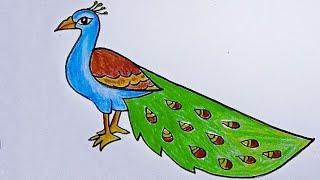 How to draw a peacock step by step  peacock drawing  how to draw a peacock  ময়ূর আঁকা  ময়ূর