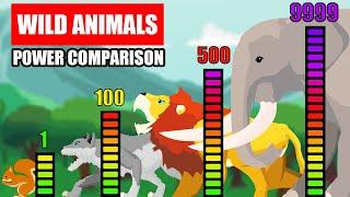 Wild Animals Power Comparison  Animal Animation