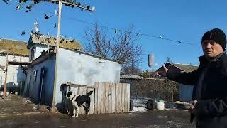 Херсонская обл - с.Загаряновка .Садовый Андрей. 2023г- декабрь И словом и делом.