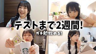 テスト2週間前になったのでテスト勉強始めるJKの放課後Vlog