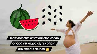 Watermelon Seeds benefit  odia bhai pk health tips  Tarabhuja