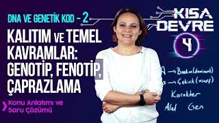 8. Sınıf Fen Bilimleri DNA ve Genetik Kod –2 Kalıtım Genotip Fenotip  Lightboard ile Ders #4