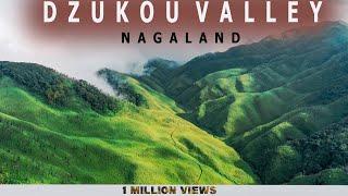 Dzukou Valley  Northeast India  Nagaland