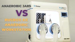 Anaerobic Jars vs BugBox Ax Anaerobic Workstation Which one is the best option?