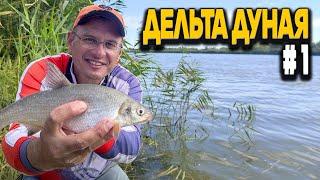 Ловим рыбу на фидер Дядя Фёдор в устье Дуная.