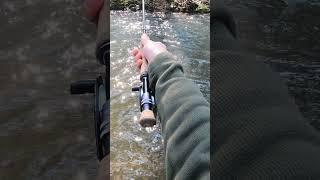  Exploring & #flyfishing small CREEKS SOLO  #shorts  Happy On The Fly