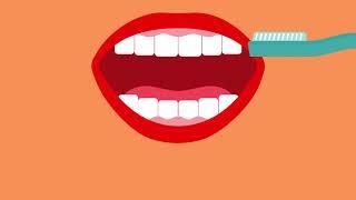 How to Brush Teeth Correctly  Colgate®